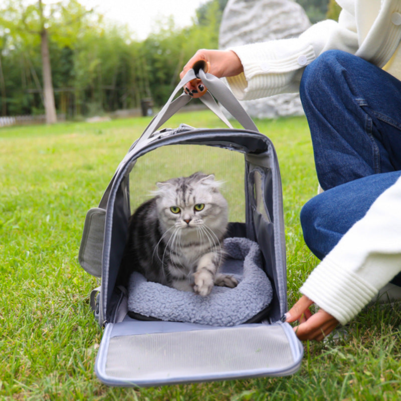 Foldable Pet Carrier Bag for Cats & Small Dogs — Breathable Oxford Shoulder & Hand Carrier
