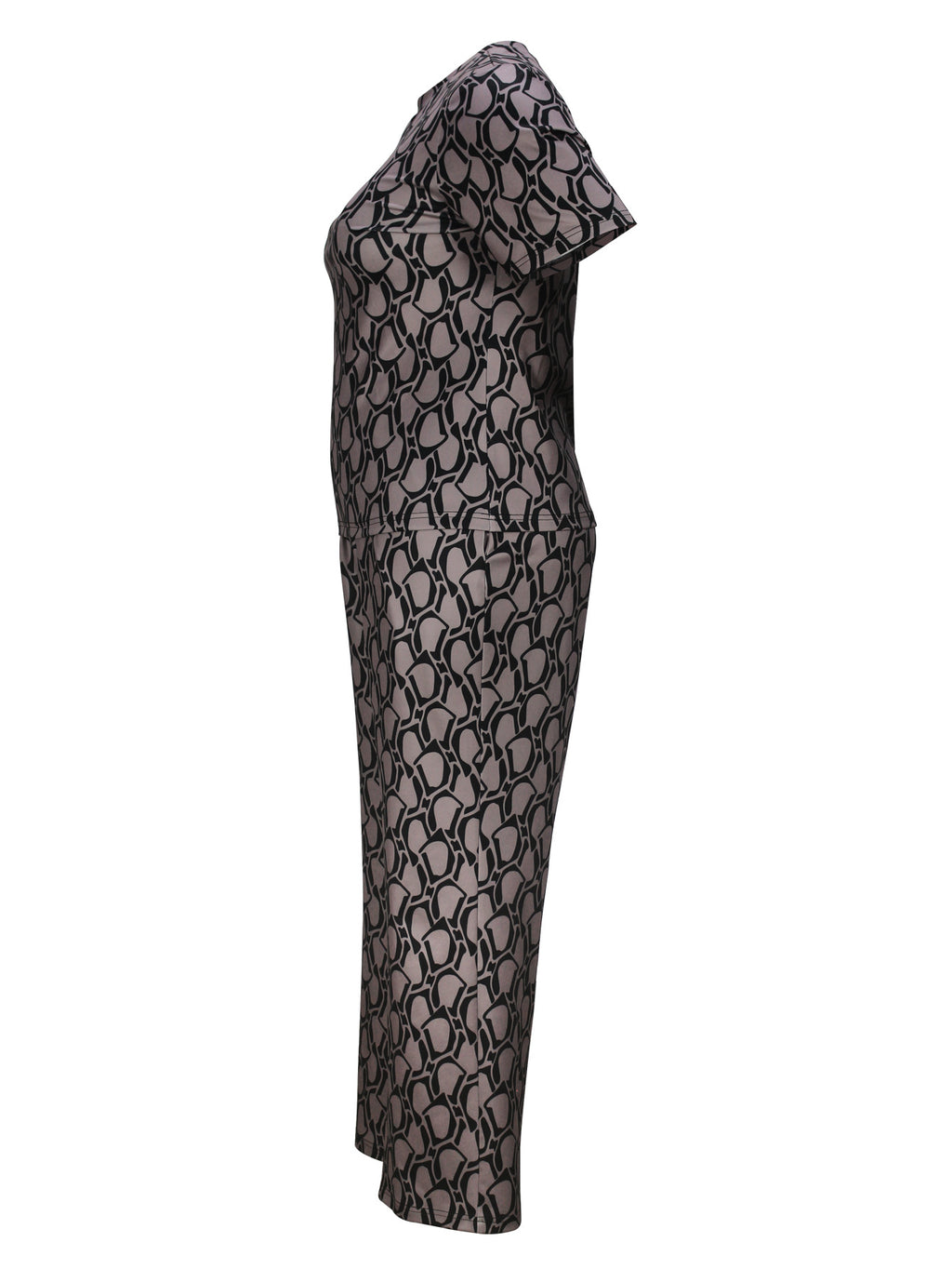 Cross-Border Amazon European and American Women's Fashion Elegant Printed Short-Sleeved Straight-Leg Pants Plus-Size Casual Suit Summer