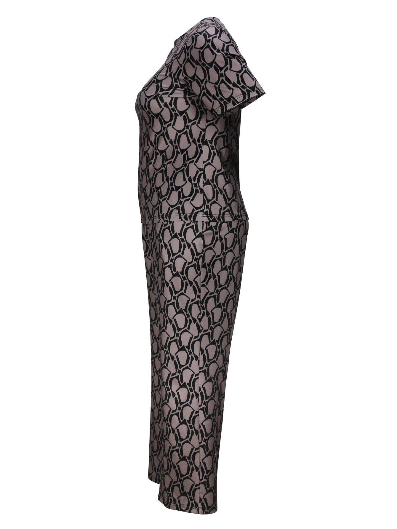 Cross-Border Amazon European and American Women's Fashion Elegant Printed Short-Sleeved Straight-Leg Pants Plus-Size Casual Suit Summer
