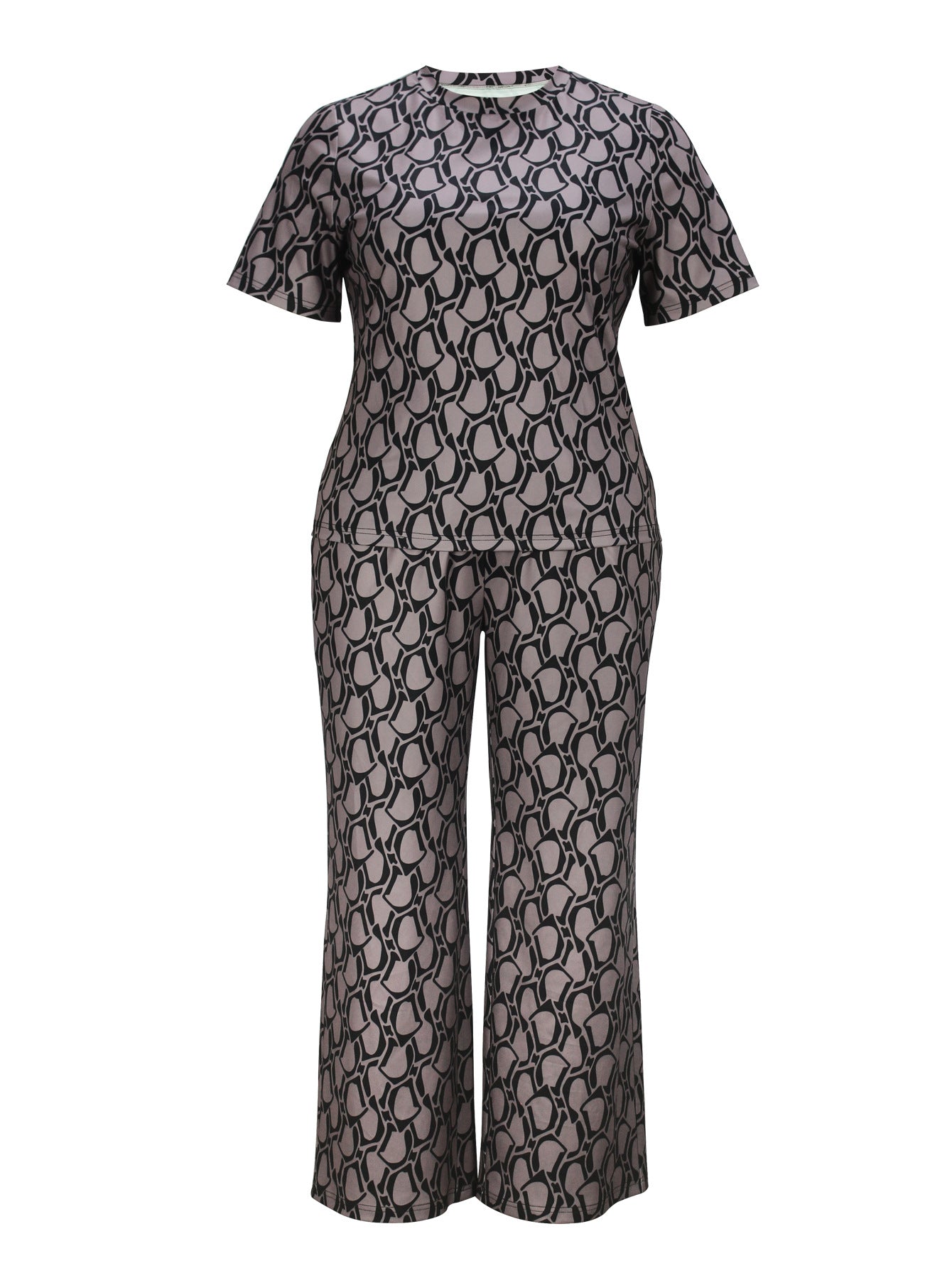 Cross-Border Amazon European and American Women's Fashion Elegant Printed Short-Sleeved Straight-Leg Pants Plus-Size Casual Suit Summer
