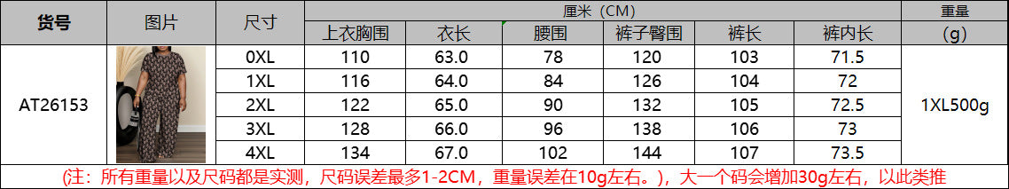 Cross-Border Amazon European and American Women's Fashion Elegant Printed Short-Sleeved Straight-Leg Pants Plus-Size Casual Suit Summer